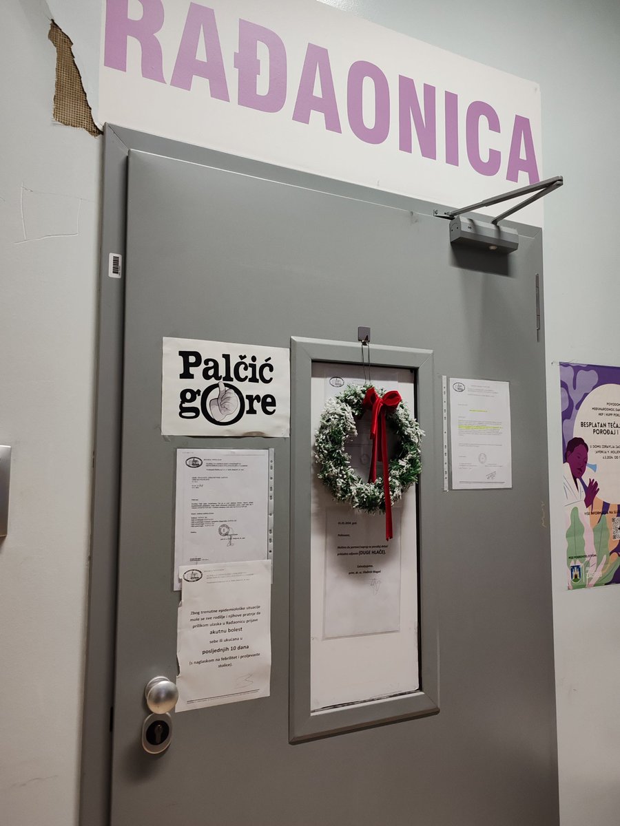 Mirela Bacic tweet media