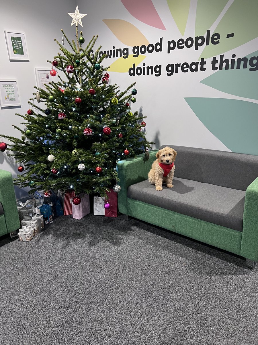 Olive on Tour <a href="/CambraiSchool/">Cambrai Primary School</a> visiting <a href="/LRobinson121/">Laura Robinson</a>