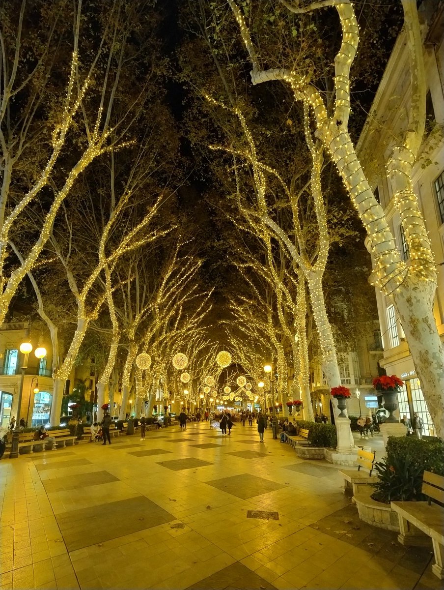 mrcanvas_app's tweet image. Palma de Mallorca