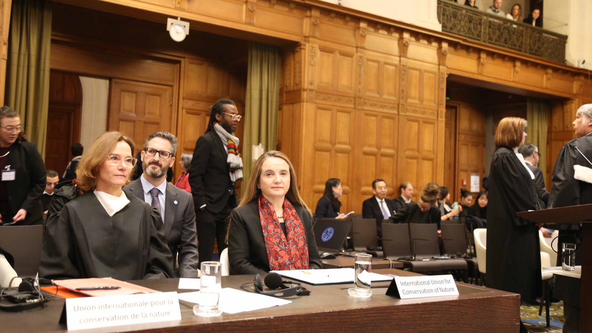 NEWS: IUCN argues at World Court that States have a legal obligation to fight #ClimateChange.

These obligations are found in the global climate change treaties, but also in other treaties such as those on human rights, biodiversity and others.

tinyurl.com/mr3t2e5z

<a href="/CIJ_ICJ/">CIJ_ICJ</a>
