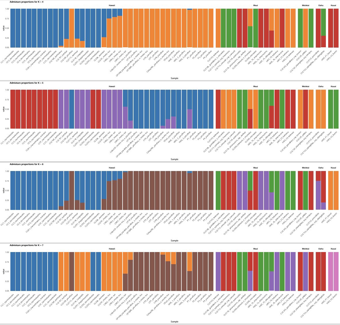 plantgenomes's tweet photo. Clermontia research update - SNPs seem to confirm that C. oblongifolia subsp. mauiensis is a hybrid of C. arborescens and C. kakeana - maybe needs to be be removed from the federal endangered species list .. Here’s an ADMIXTURE analysis .. (1/2) https://t.co/ruA5vcbfoP