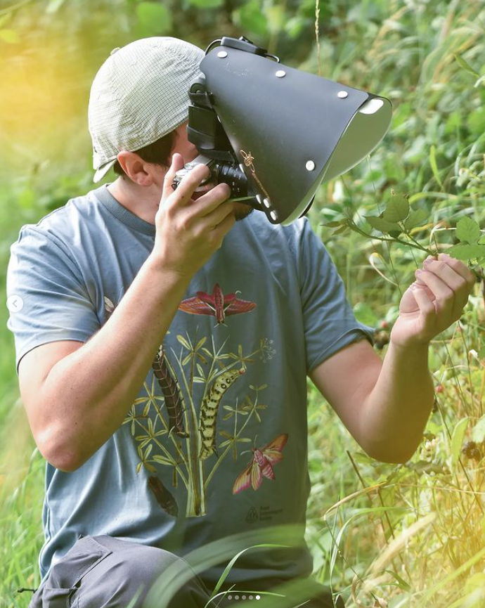 Royal Entomological Society tweet media