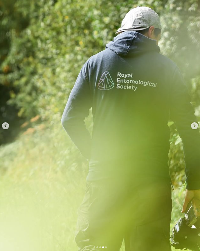 Royal Entomological Society tweet media