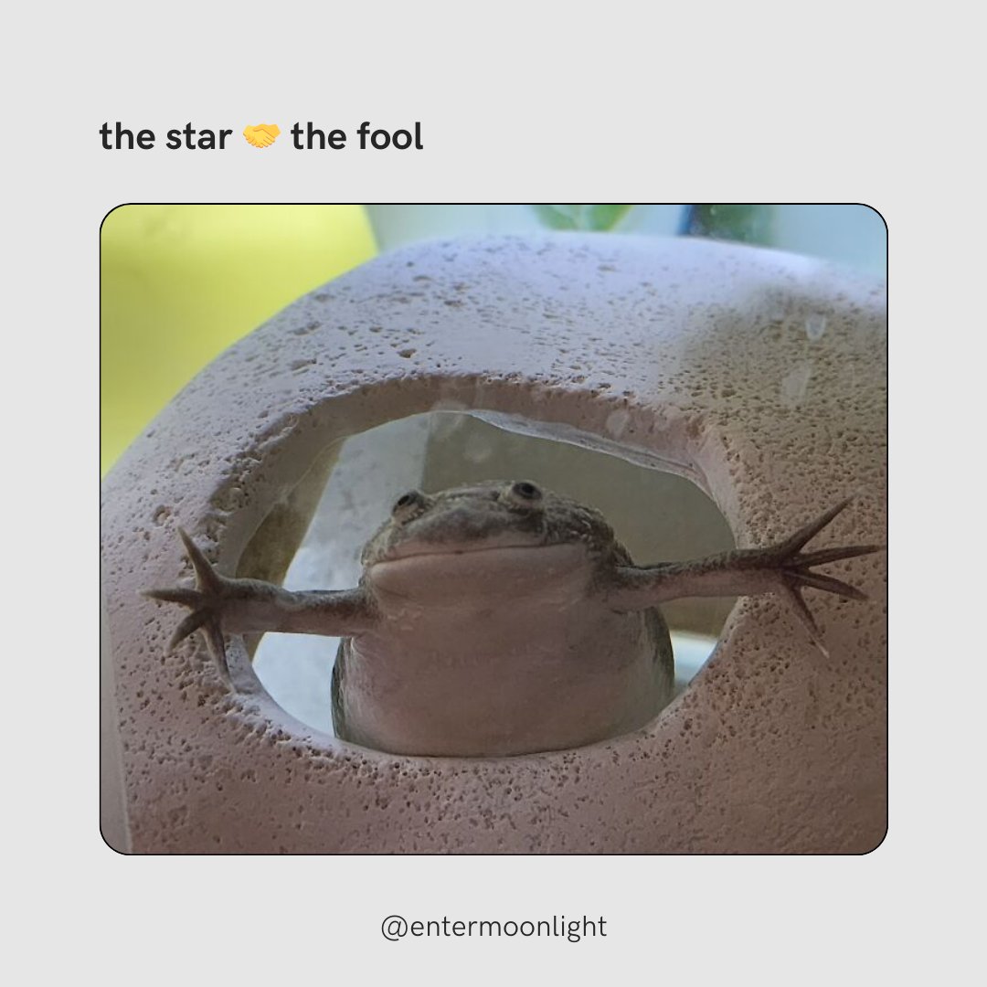 Moonlight tweet media