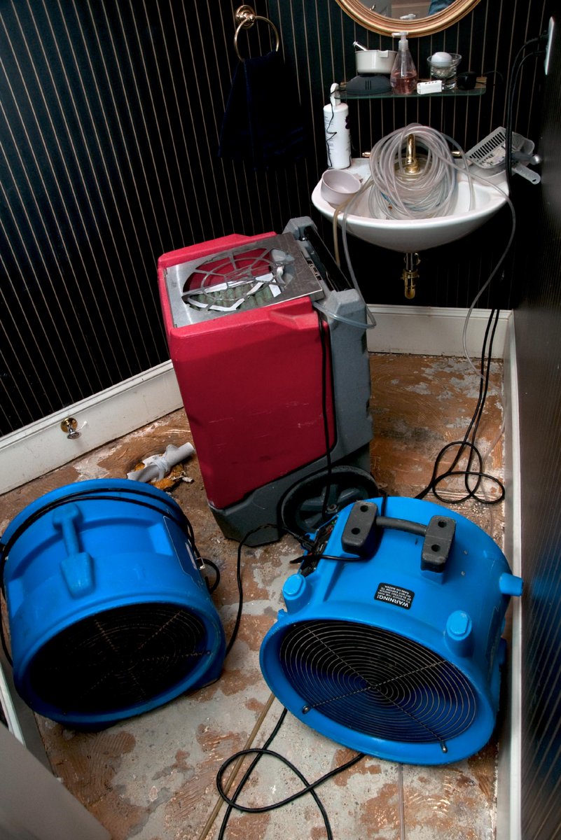Water damage can be a serious problem. But with St. Louis Cleaning and Restoration's restoration services, you can get your home back to normal in no time. Contact us today at stlouiscleaningandrestoration.com to learn more.