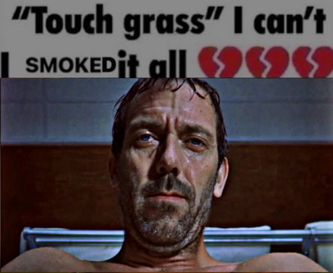 sasha 🐁 tweet media