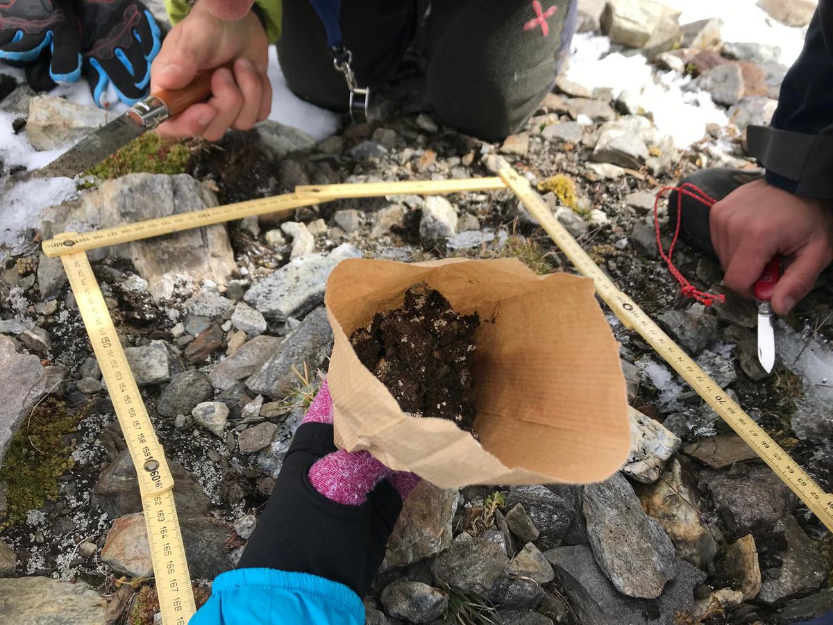 SLichenologica's tweet image. New paper published where Vallese et al. emphasize the critical role of substrate type in shaping #lichen #resilience to #EnvironmentalChanges.
doi.org/10.3390/jof101…
@UniboBiome @Unibo @ChivaNatuLic #Alps #SpeciesRichness #TerricolousLichens