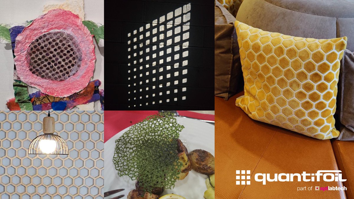 Quantifoil (@quantifoil) on Twitter photo Calling all #cryoem peeps - have you ever spotted a #gridinthewild? They're everywhere, once you start to look! Share your images today and tag us in: there'll be Christmas goodies in the post for the best entries! 😀🎁🤩 Calling all #cryoem peeps - have you ever spotted a #gridinthewild? They're everywhere, once you start to look! Share your images today and tag us in: there'll be Christmas goodies in the post for the best entries! 😀🎁🤩