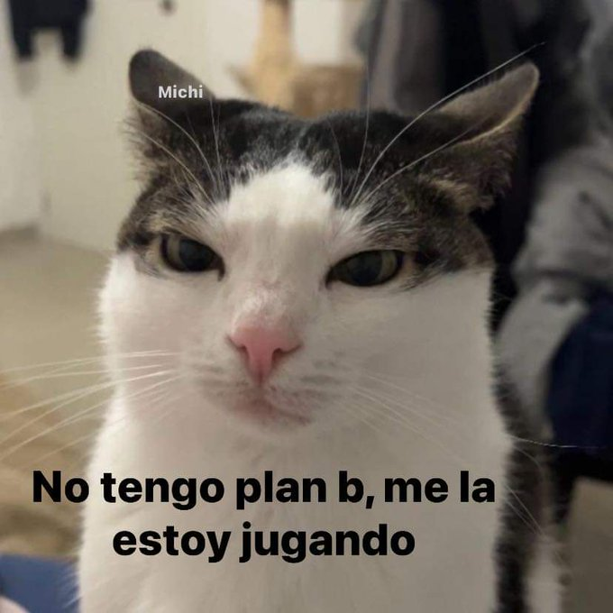 Nombren esa #criptomoneda con la que simplemente se la están jugando 👇