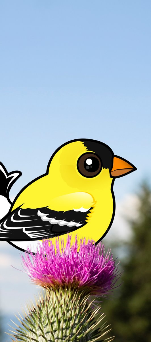 Brighten your day with this Birdorable American Goldfinch wallpaper! 📱 Featuring the vibrant goldfinch perched on a thistle. Download now and carry a little sunshine in your pocket wherever you go. 🌞💛
