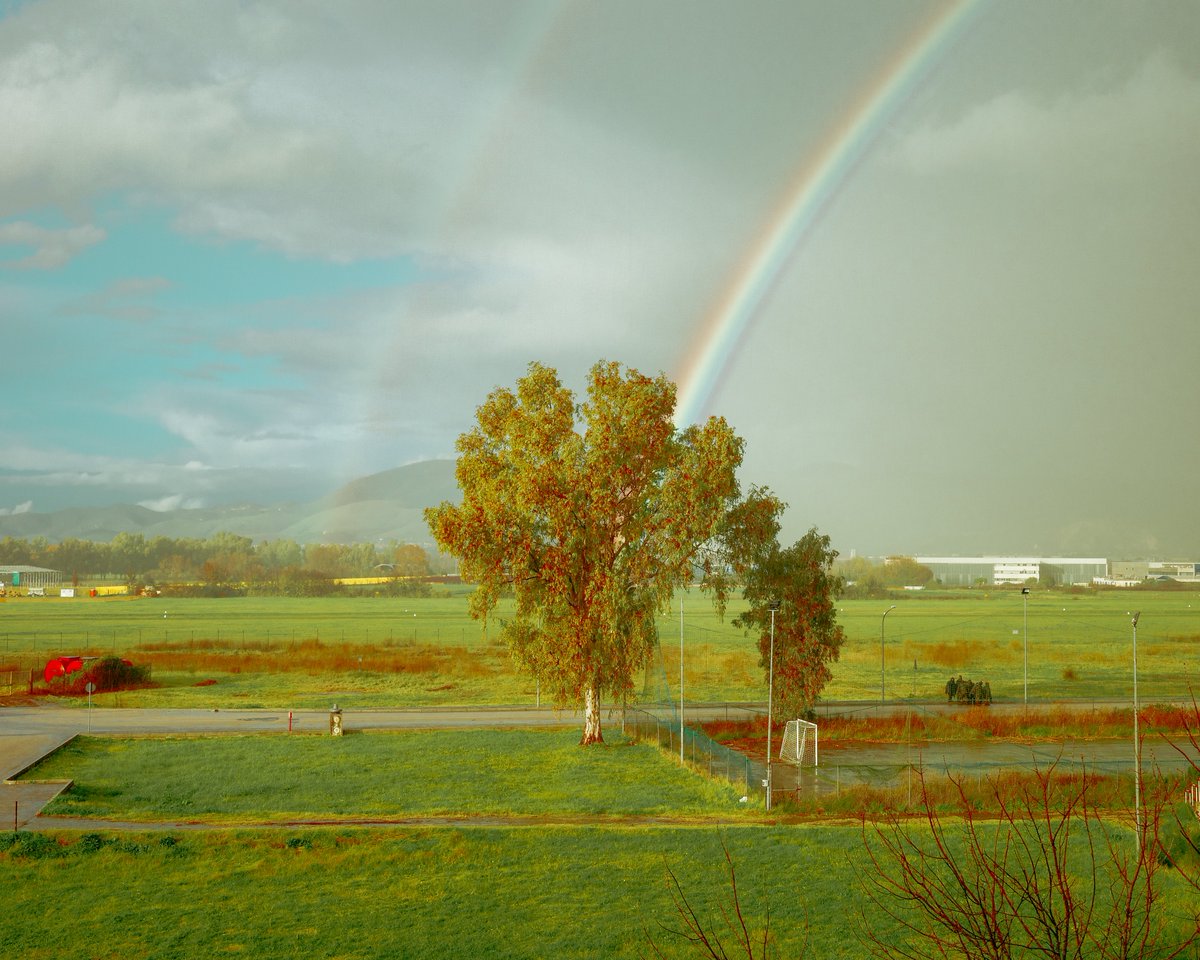 Francesco Aglieri Rinella tweet media