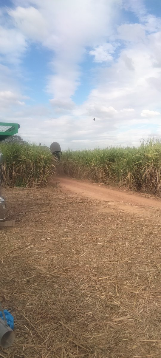 นัดเยส เอ้าดอร์  ด่วน  โสกมะตูม