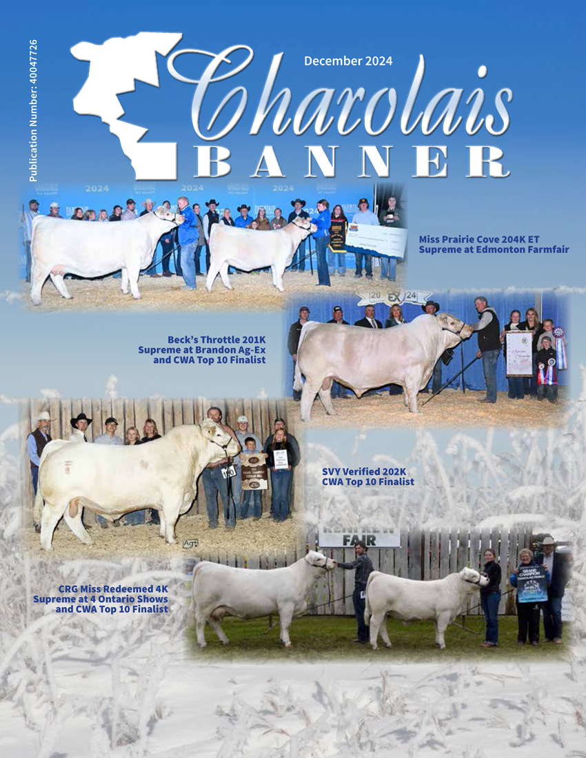 Helge By (@charolaisbanner) on Twitter photo Canada Post is still on strike, but the December issue of the #Charolais Banner is now online at charolaisbanner.com. Fall show and sale reports and highlights, association news, breeder profile, program advertising and much more <a href="/canCharolais/">Canadian Charolais</a> Canada Post is still on strike, but the December issue of the #Charolais Banner is now online at charolaisbanner.com. Fall show and sale reports and highlights, association news, breeder profile, program advertising and much more <a href="/canCharolais/">Canadian Charolais</a>