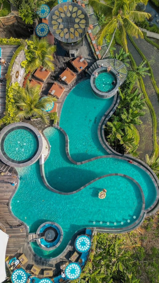 ambahram's tweet photo. 📍 Ubud, Bali ☀️ https://t.co/8U1bunyZom