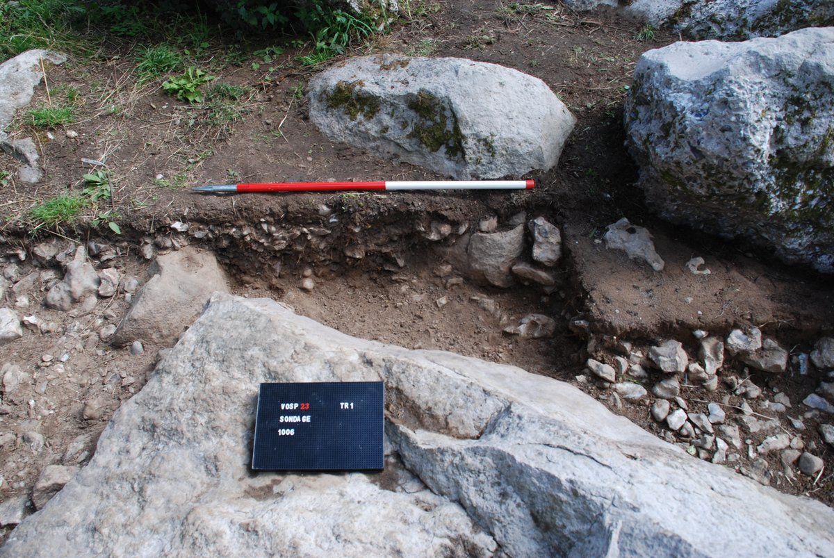 PastParticipate tweet media