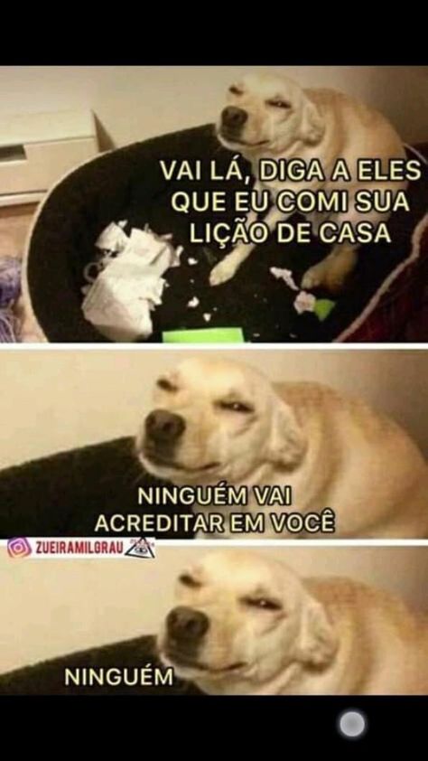 Natagi92's tweet image. Vc já usou essa desculpa na #Escola ?
Bons tempos, hoje em dia fica difícil porque  dever de casa se faz no #computador, né? 🤣🤣

@bru_cunha @Maurormf @AcoLyonel @VicentinVilma 
@TmFlavio @ton_resp @FatimaFagunde10 @DinaelSilv 
@MarciaAly01 @AR800_art @ErneMussanhane