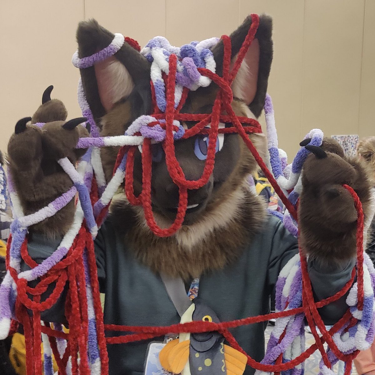 Aina (@kuu_aina) on Twitter photo Cat in a cat situation — yeah I needed help afterwards 😅
Happy #FursuitFriday from #MFF2024
📸: <a href="/taigenfolf/">🌺 Taigen 💤</a> Cat in a cat situation — yeah I needed help afterwards 😅
Happy #FursuitFriday from #MFF2024
📸: <a href="/taigenfolf/">🌺 Taigen 💤</a>