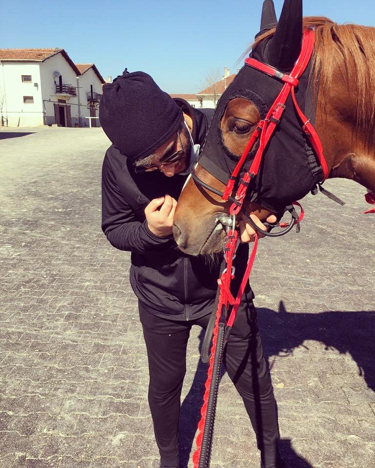Tekdoqan's tweet photo. #NationalDayOfTheHorse https://t.co/HVkNrJp21E