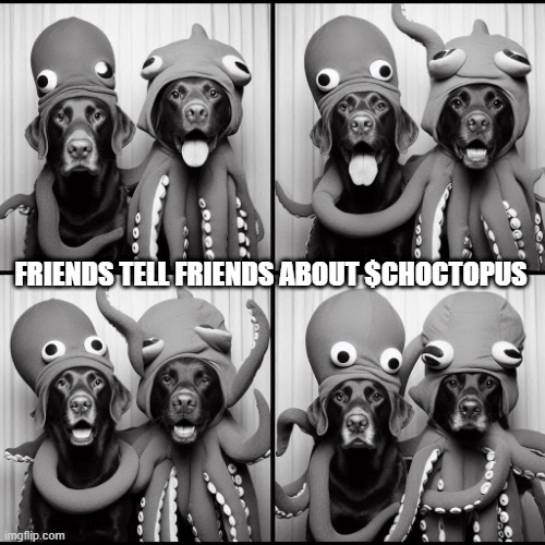 Choctopus tweet media