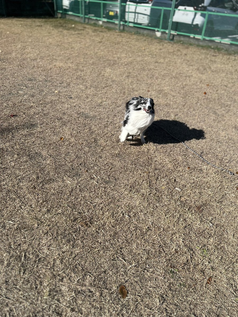 漫画みたいな顔だね🥸