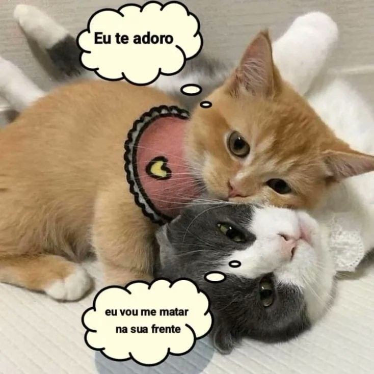 odeiootaco's tweet image. 