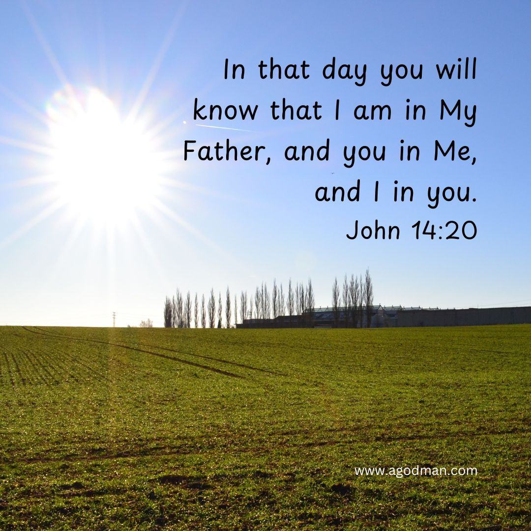 agodman's tweet photo. In that day you will know that I am in My Father, and you in Me, and I in you. John 14:20
#bible #wordofGod #inChrist #inGod #Christian
https://t.co/Y8reCx9OGN https://t.co/ueD5gqEfZD