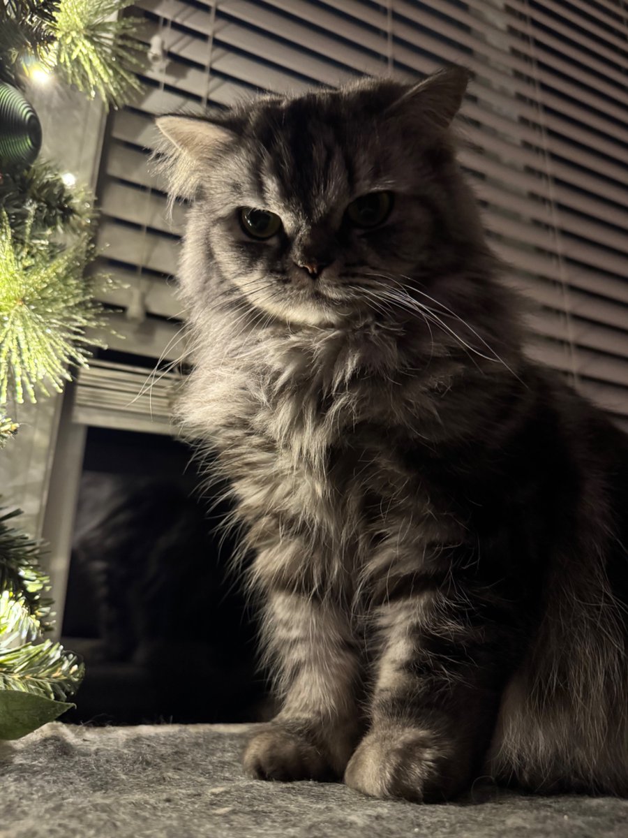 ummy ⌐◨-◨ tweet media