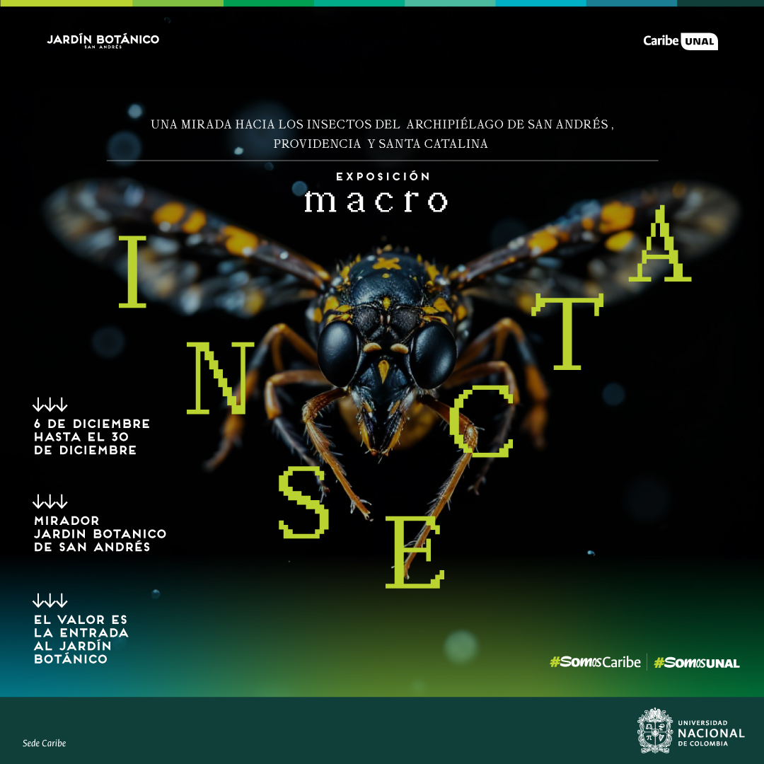 Visita el Jardin Botánico de San Andrés y disfruta de una exposición sobre insectos del Archipielago de San Andres, Providencia y Santa Catalina. #SomosCaribe #SomosUNAL