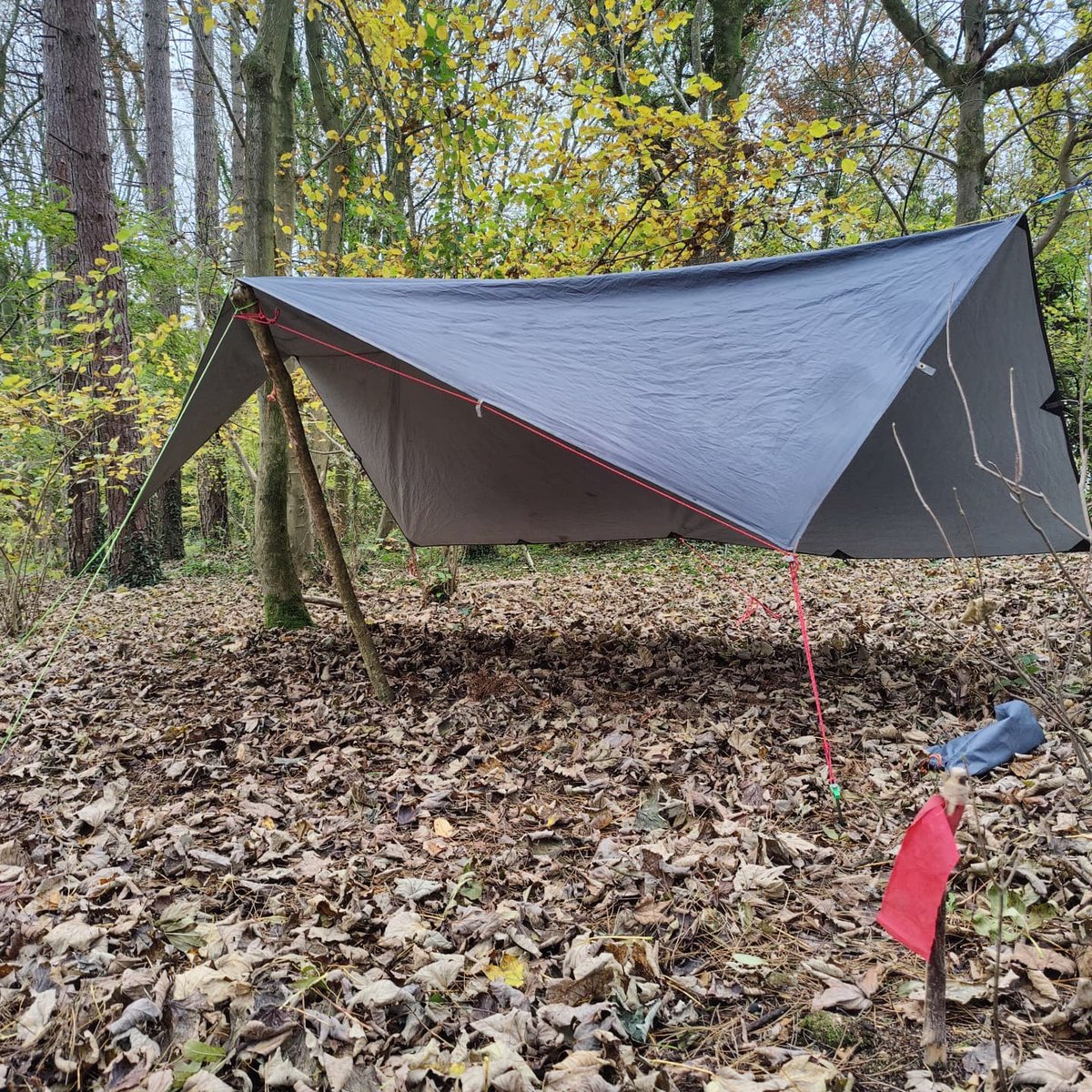 The 11 trainees they learnt the knots 1 day, next day 5 different tarp setups I love a tight taut tarp. #forestschool #woodland #hampshire #forestschooltraining
Want to learn these skills? We've forest school leader training course starting in spring 2025.
coastandforest.co.uk/contact-us/