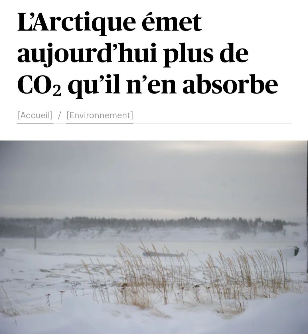 COPTICOM, Stratégies et Relations publiques tweet media