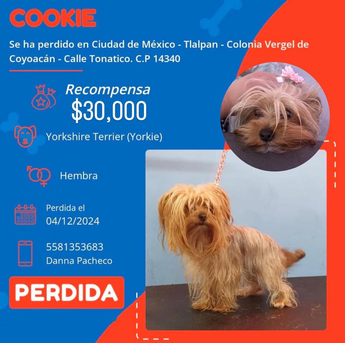 Armando Tell (@armandotell) on Twitter photo 