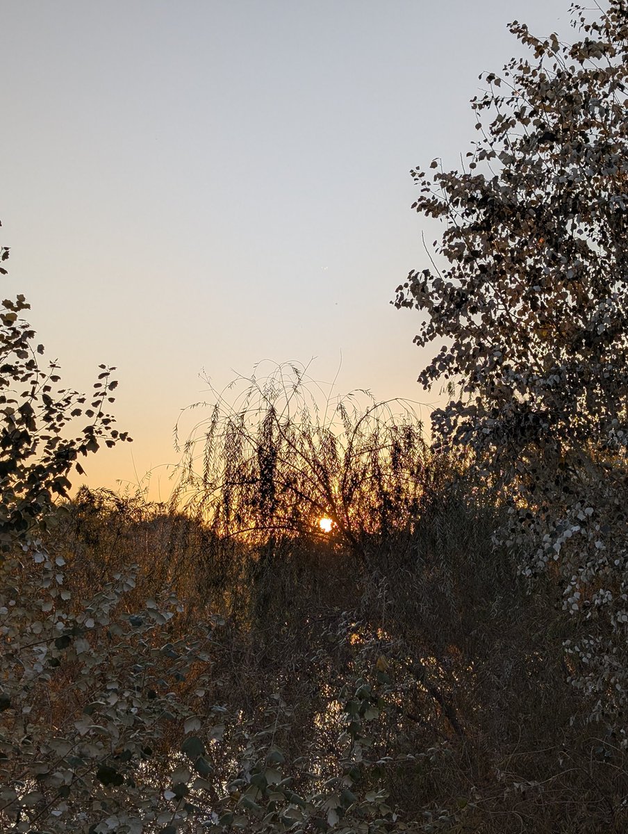ink_inside11's tweet photo. El atardecer en Córdoba https://t.co/raprBIjVJJ