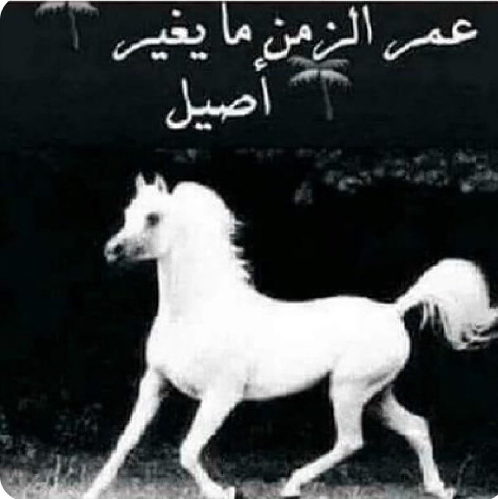 نغير جوو 

شيء ماتقدر تقوم به الا عندما تضرب شيء

تعرف تكسب بطاقة شحن رصيد الجوال ب 34
حيرتنا 
فلوس لن احول بتاتا .  العذر والسموحة