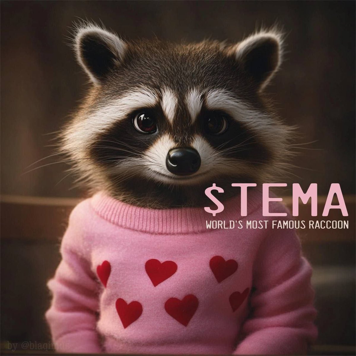 LarsMaex's tweet photo. @Noahhweb3 Check out $TEMA, world's cutest racoon. The token is supported by a TikTok channel with 2.7m followers. https://t.co/cNWFMPEqY2