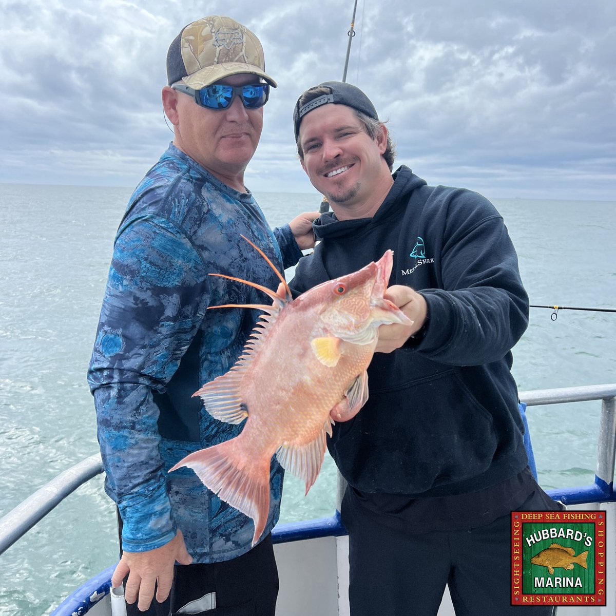 hubbardsmarina's tweet photo. Hogfish bite continues to be on fire!! We are seeing them on the 10hr and even some on the 5hr! Shrimp will be your best friend when looking for these fish!!
#deepseafishing #offshorefishing #hogfish #stillshinning #johnspass https://t.co/KoSarL0vV2