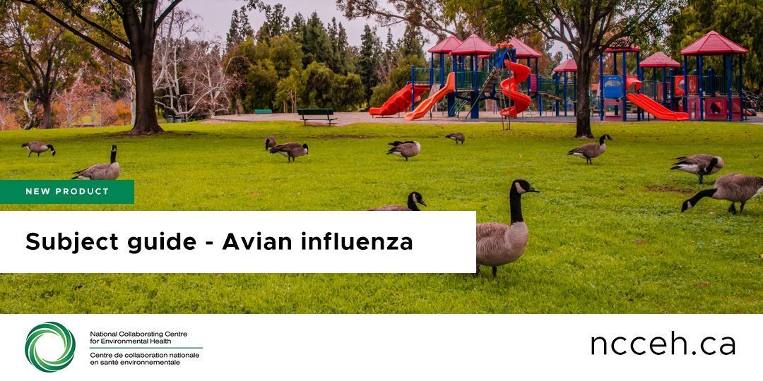 ncceh's tweet photo. NEW! With an increase in #AvianInfluenza in wild birds and poultry and the 1st human infection in Canada, this subject guide provides resources to track the situation, understand transmission pathways &amp; identify measures to reduce spread

📃 READ MORE 👉 https://t.co/szKkU5ZNxM https://t.co/nN0WUdNj8W