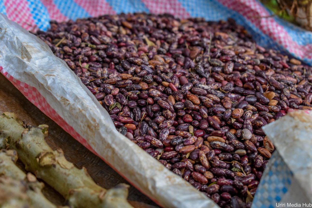 chapobeanss's tweet photo. #EndPatriachy in  farming. Large farms are run and owned by men. While most women only operate small kitchen gardens.
#AgroecologyWorks https://t.co/VPCfWTvebH