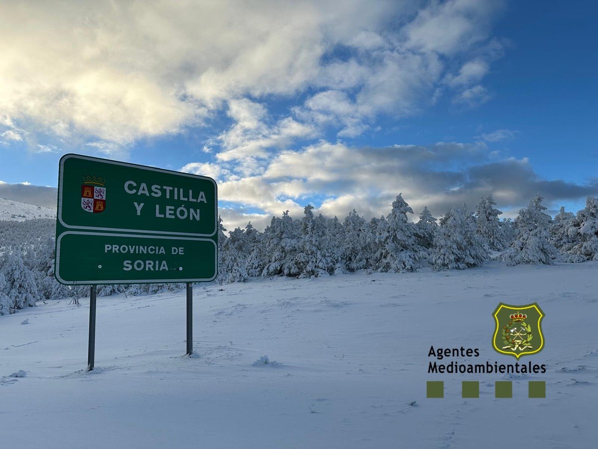 APAMCYL (@apamcyl) on Twitter photo Los compañeros #AAMM <a href="/jcyl/">Junta de Castilla y León</a> de #Soria nos ponen al corriente de la situación del puerto de piqueras en la entrada N-111 Logroño -Soria
Foto de las 17:00 📸
Temperatura 🌡️ 0⁰C
Circule con precaución
<a href="/112cyl/">112 Castilla y León</a> Los compañeros #AAMM <a href="/jcyl/">Junta de Castilla y León</a> de #Soria nos ponen al corriente de la situación del puerto de piqueras en la entrada N-111 Logroño -Soria
Foto de las 17:00 📸
Temperatura 🌡️ 0⁰C
Circule con precaución
<a href="/112cyl/">112 Castilla y León</a>