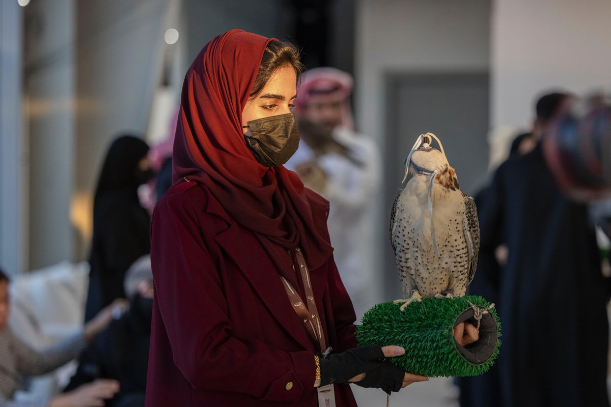 إياد الحمود tweet media