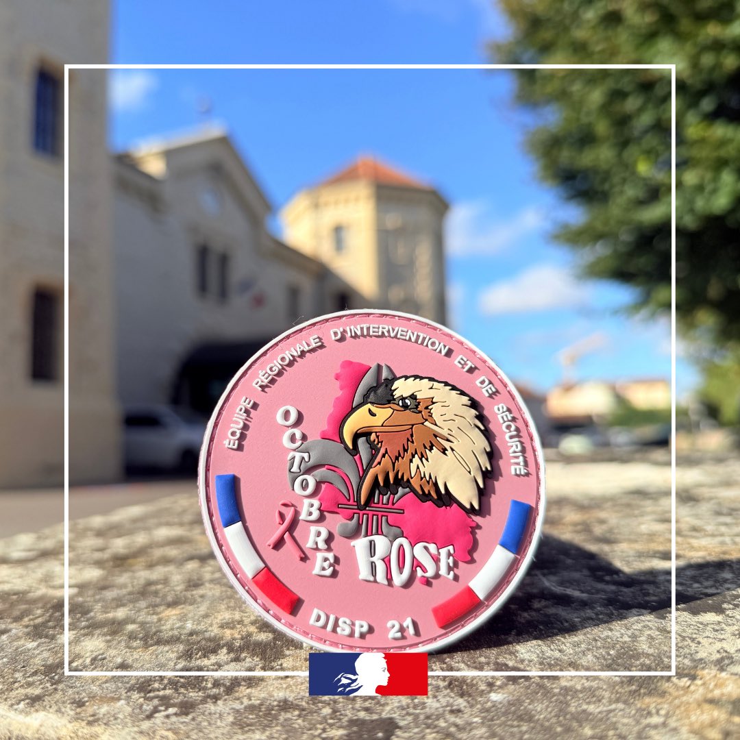 DISP de Dijon tweet media