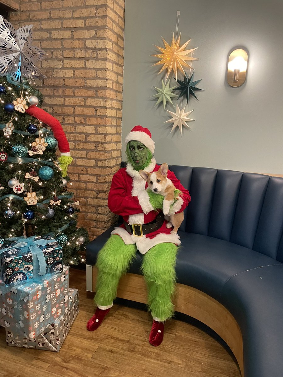 My puppy met the grinch