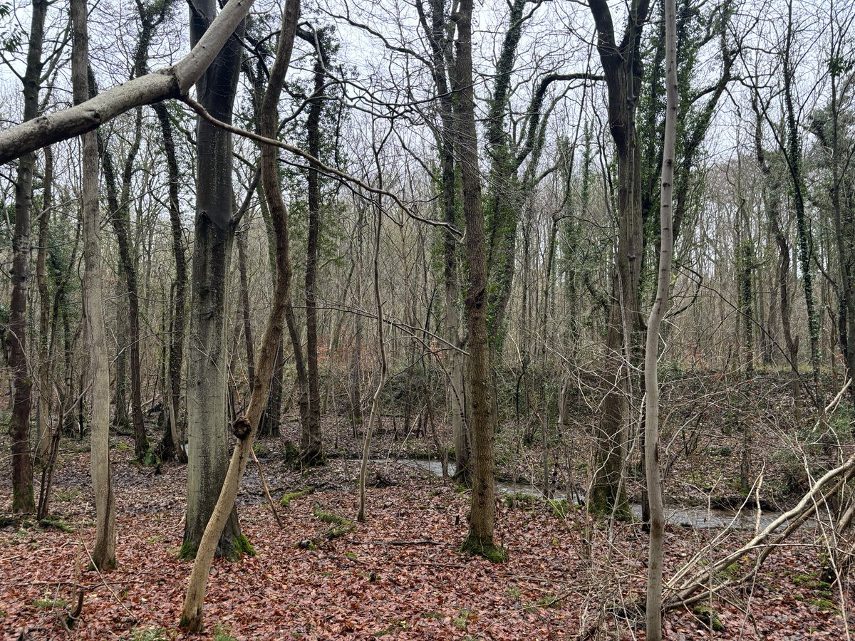 🎀HANNAH🎀 tweet media