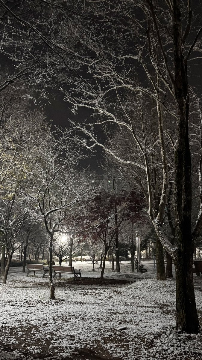 눈 오길래… 새벽산책