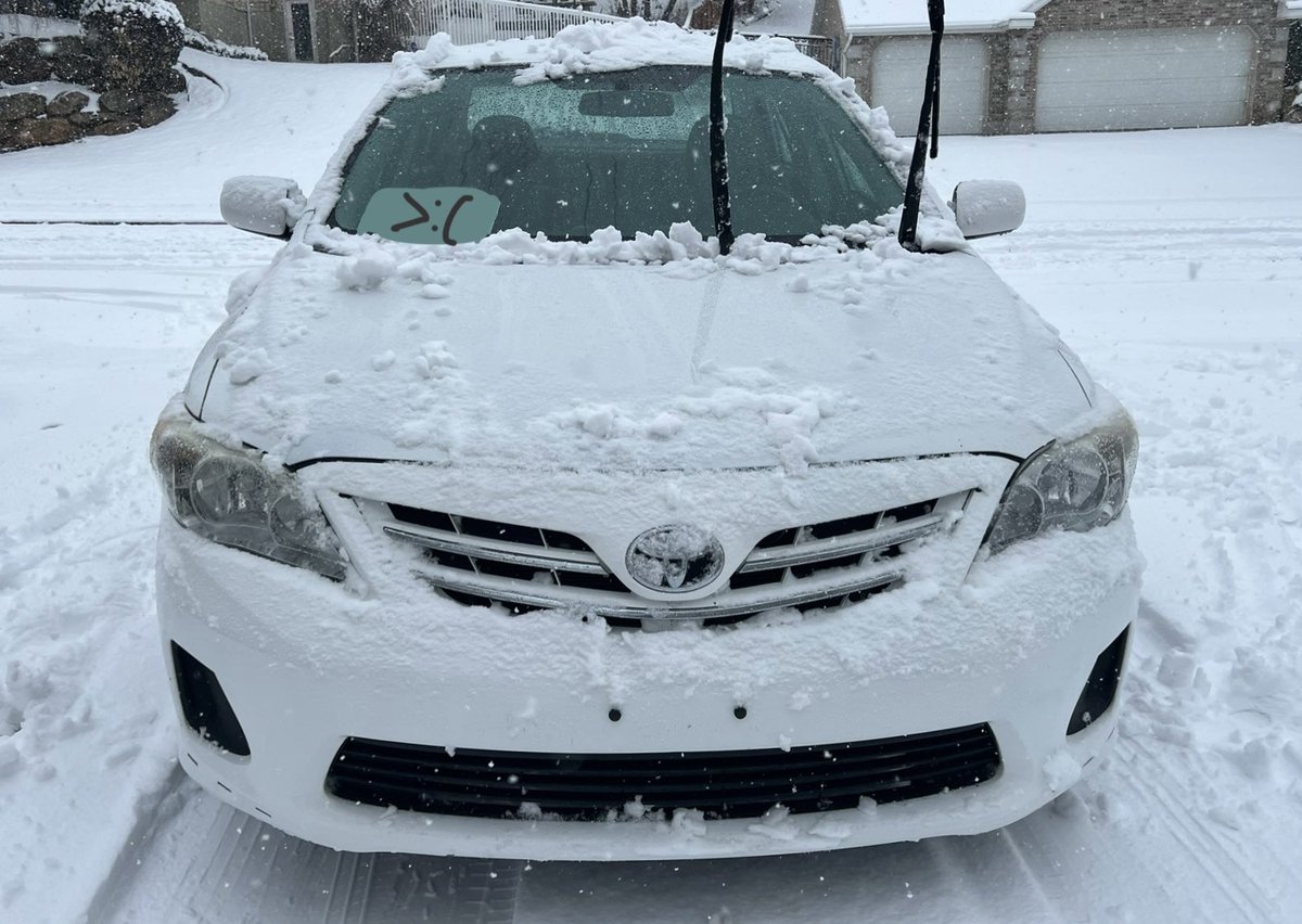 2ZRolla's tweet image. She thought winter was for one day only! She MAD!!