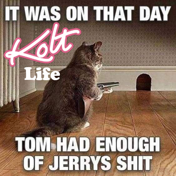 KoltCTO's tweet photo. Tired of this shit. Time to GET KOLTED.

$KOLT #GETKOLTED #KOLTCTO https://t.co/4aCCMjZMxg