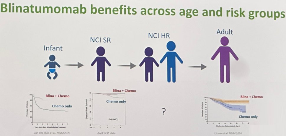 DrNahlaMobark's tweet photo. immunotherapy (Blinatumomab)plus chemo is the new standard of care for kids with NCI stander-risk B-acute lymphoblastic leukemia COG AALL1731Trial  improving cure of childhood leukemia  👏👏👏👏👏👶
 #COG #ASH24  #AALL1731
https://t.co/QBwqGxJ1BP https://t.co/sLRi9m3sRB
