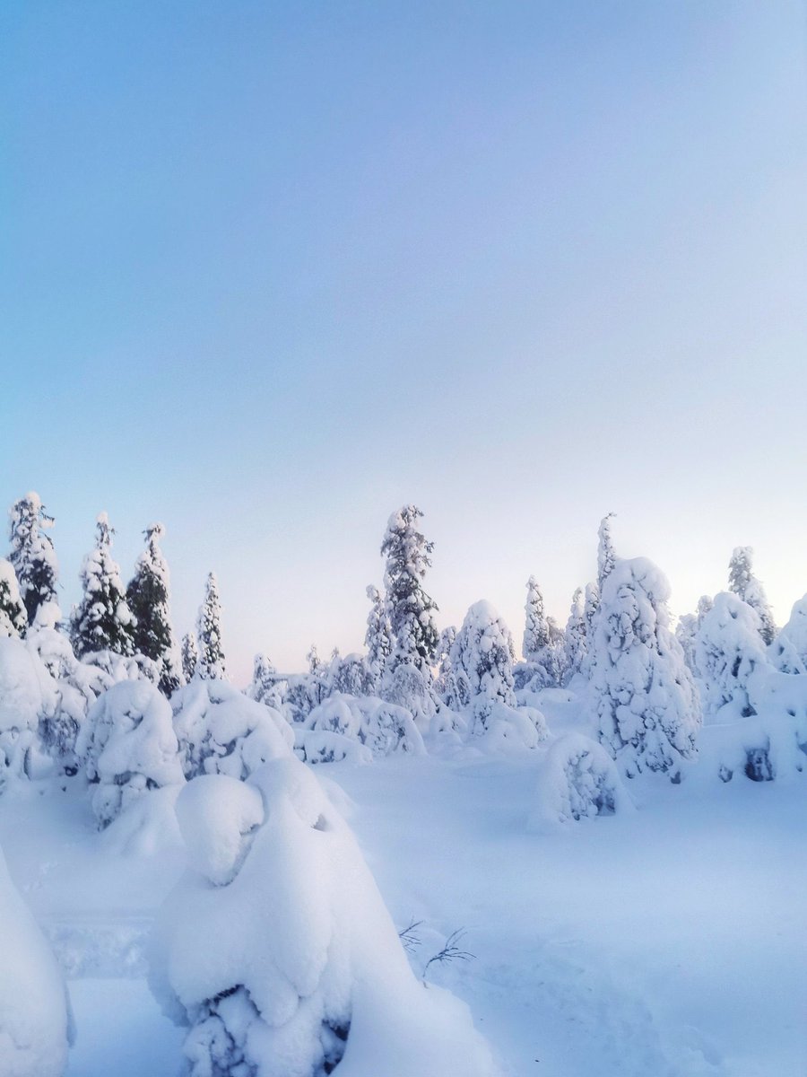 janisphotos's tweet photo. ❄️ https://t.co/SU4N1I5Aqa