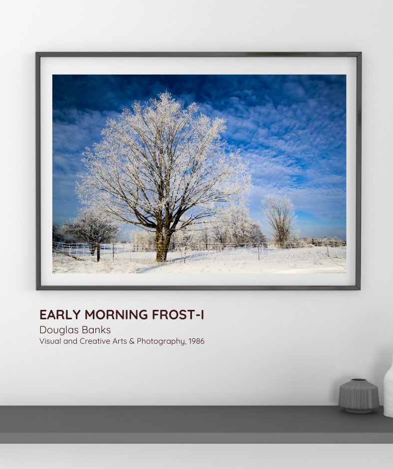 SLC_Alumni's tweet image. Thanks to Douglas Banks for their submission Early Morning Frost-I. 
Watch for more fabulous holiday submissions from our alumni as we countdown to the holidays!
#ProudToBeSLC