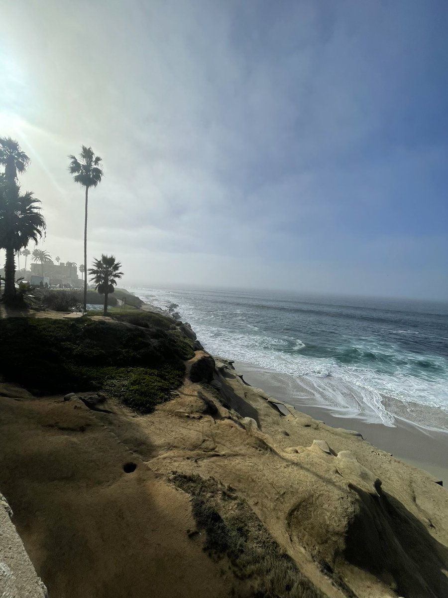 Ian Ghezzi tweet media