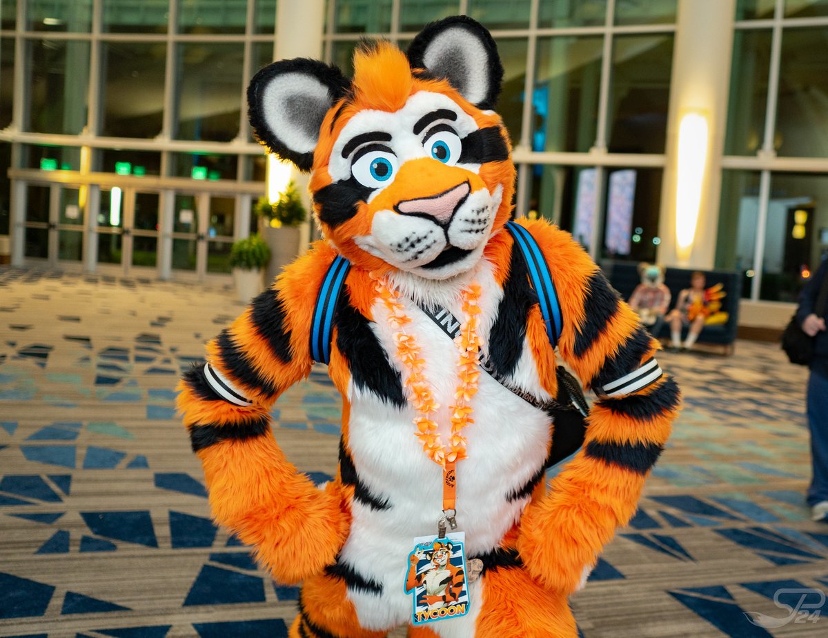 StevenJPaul's tweet photo. 📅: September 1, 2024
📍: Orlando, FL #Megaplex2024
🐾: @tycoonthetiger
✂️: @jaycostumes
🖼️: https://t.co/wYLQIYXrGD
#Fursuit #FursuitFriday https://t.co/hThrc94MrJ